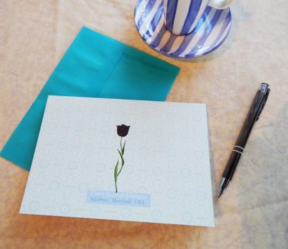 Danasimson.com Back of Luna Moth Gift card with vellum envelope