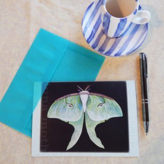 Danasimson.com Gift card Luna Moth with vellum envelope