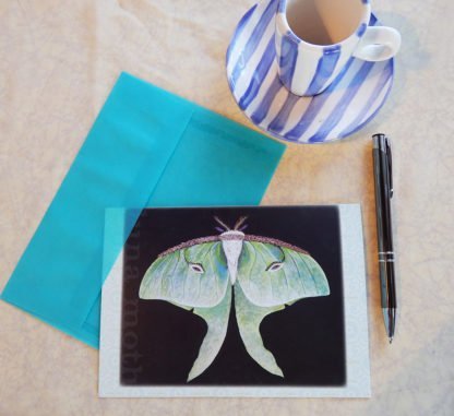 Danasimson.com Gift card Luna Moth with vellum envelope