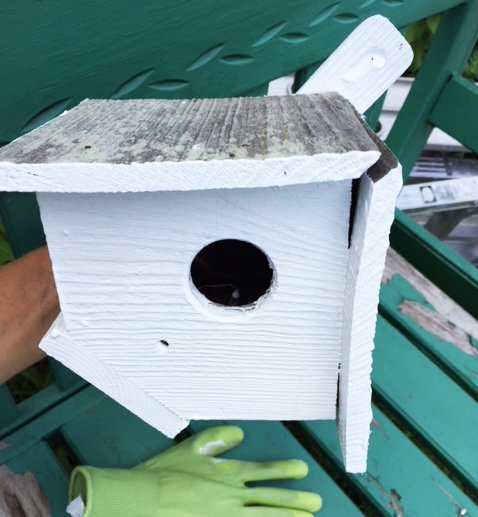 fix a wooden birdhouse