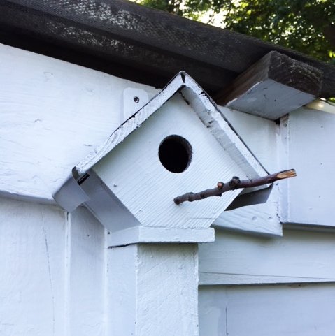 finished fixed birdhouse